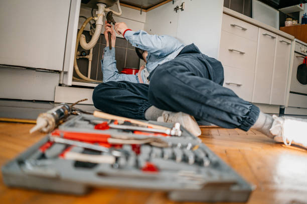 Best Leak Detection Services  in Cannon Falls, MN