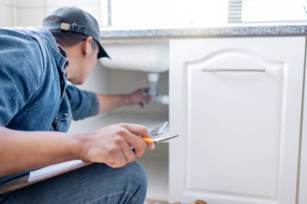 Best Clogged Drain Plumber  in Cannon Falls, MN