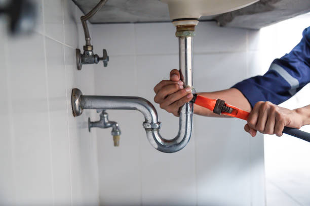 Best Clogged Drain Plumber  in Cannon Falls, MN