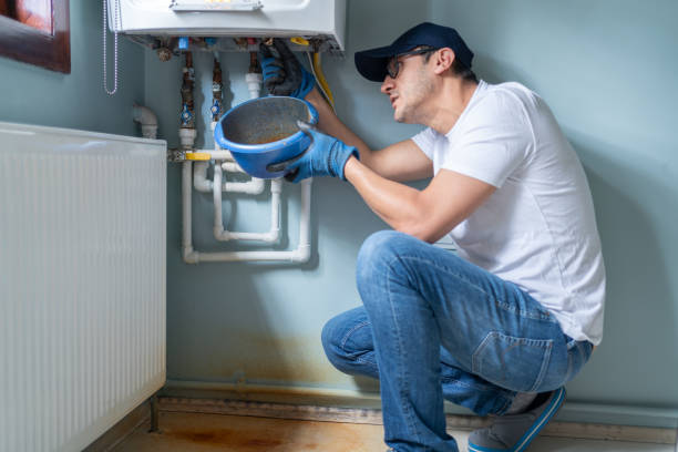 Best Plumbing Inspection Services  in Cannon Falls, MN