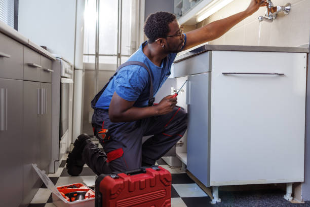 Best Commercial Plumbing Services  in Cannon Falls, MN